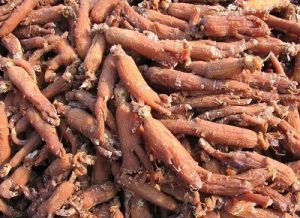 hrana za krepitev mišic