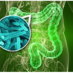 Razstrupljanje telesa