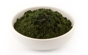 chlorella v prahu