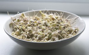 superhrana superhrana